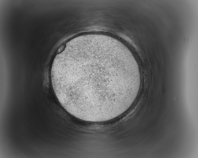 X0000087581358200705251832