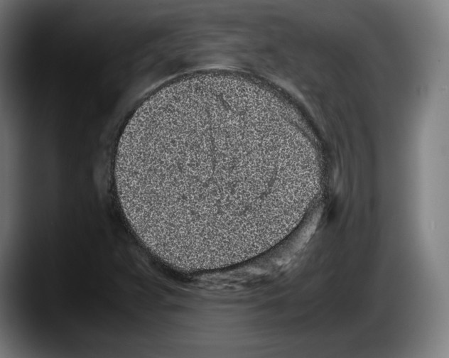 X0000087581359200705251832