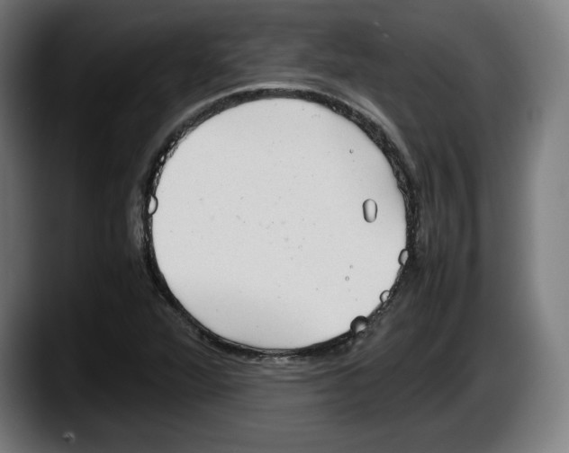 X0000087581360200705251832