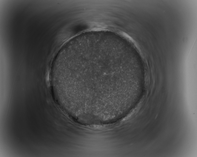 X0000087581361200705251832