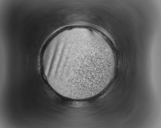 X0000087581364200705251832