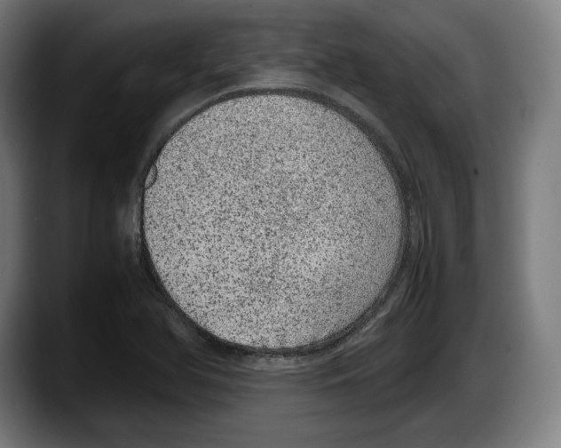 X0000087581366200705251832