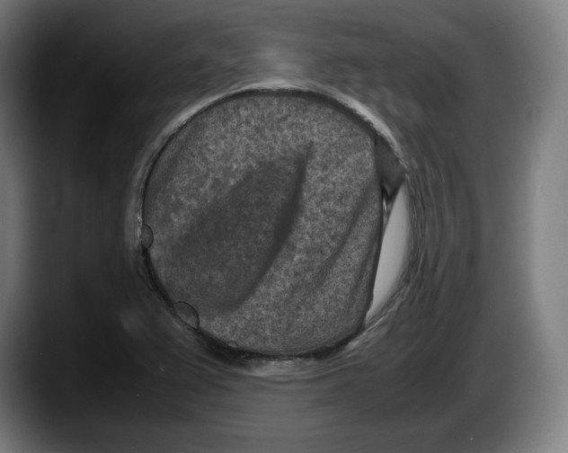 X0000087581367200705251832