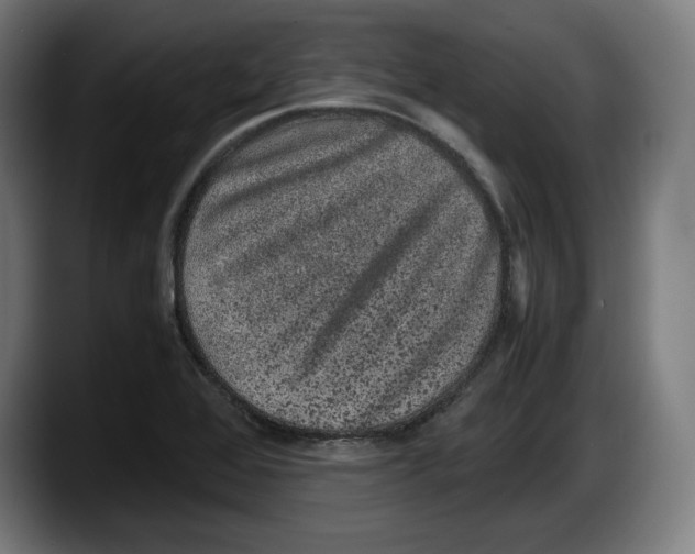 X0000087581368200705251832
