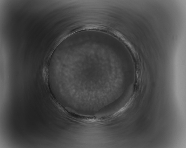 X0000087581369200705251832