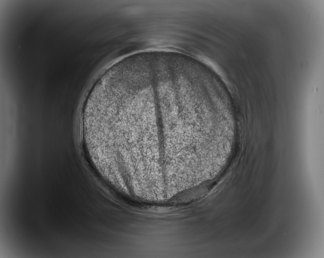 X0000087581371200705251832