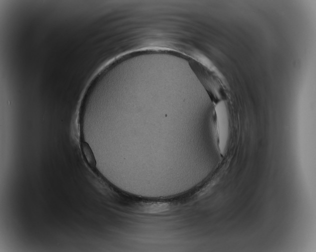 X0000087581372200705251832