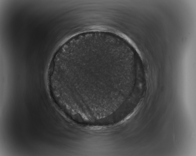 X0000087581373200705251832