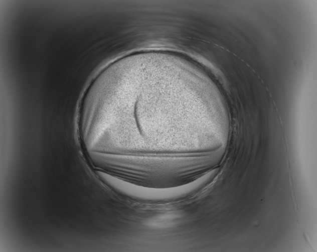 X0000087581374200705251832