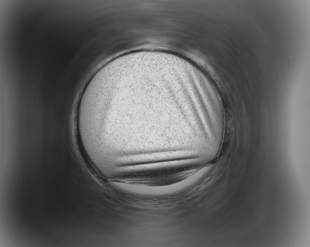 X0000087581375200705251832