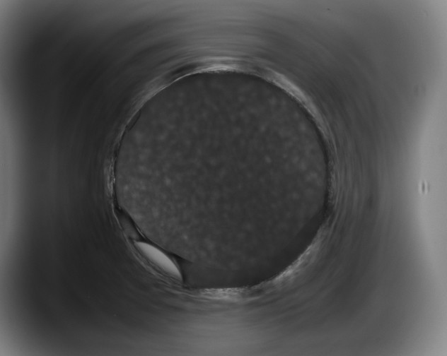 X0000087581377200705251832