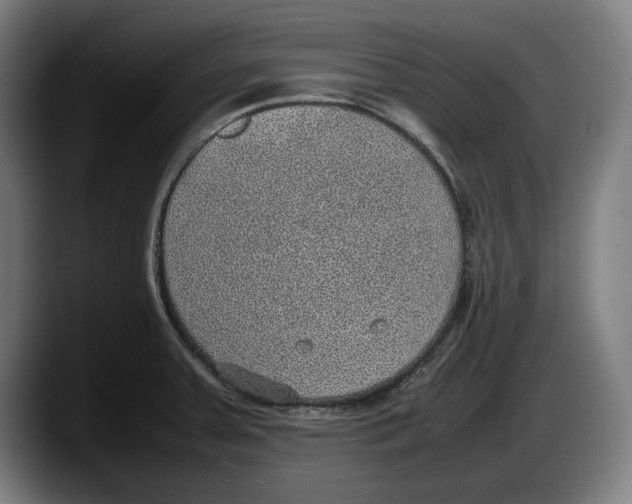X0000087581379200705251832