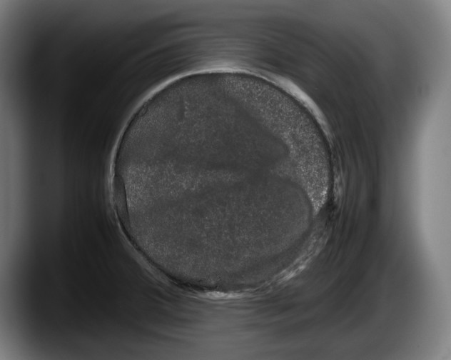 X0000087581380200705251832