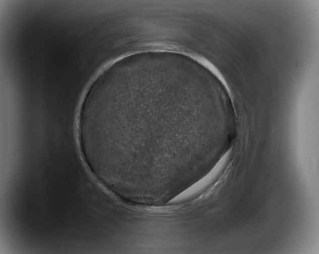 X0000087581381200705251832