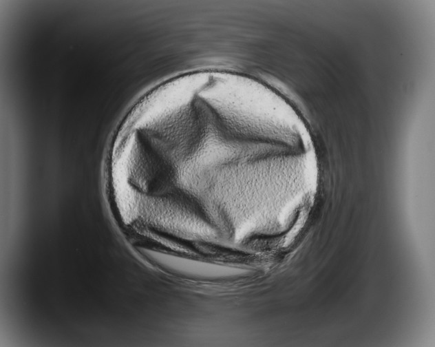 X0000087581383200705251832