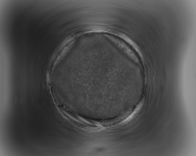 X0000087581385200705251832