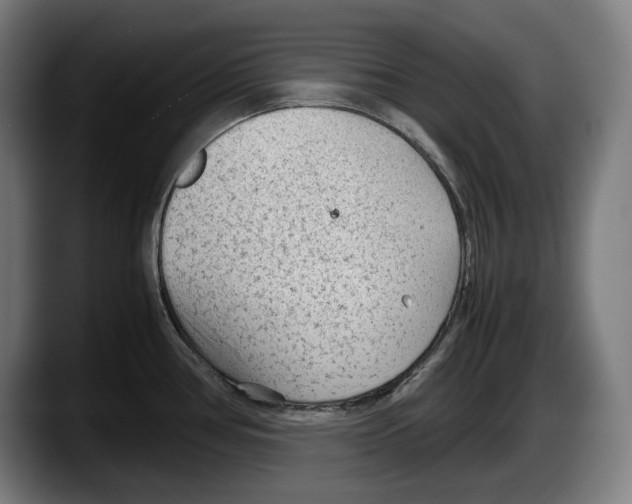 X0000087581386200705251832
