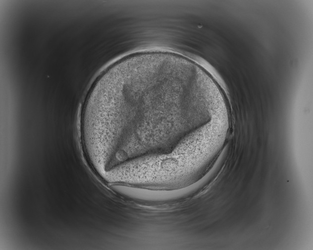X0000087581388200705251832