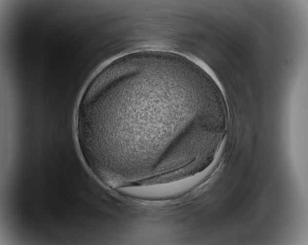 X0000087581389200705251832