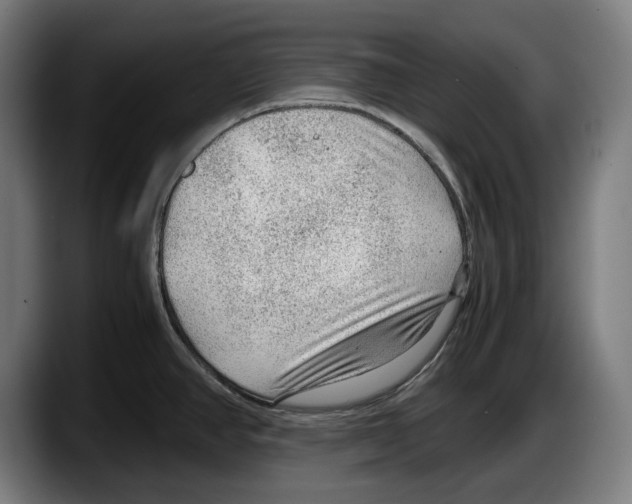 X0000087581390200705251832