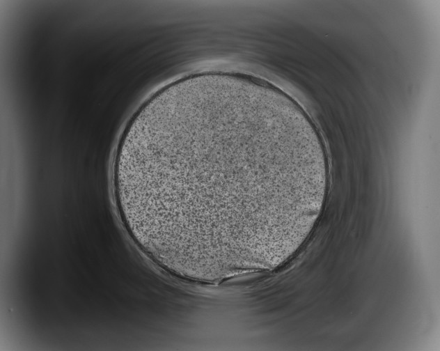 X0000087581392200705251832