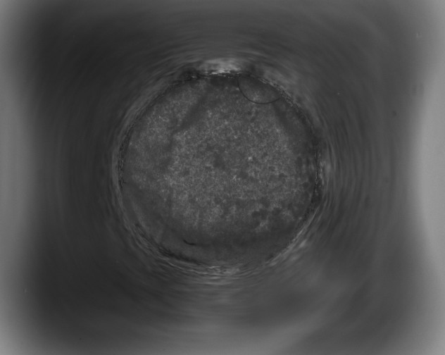 X0000087581393200705251831