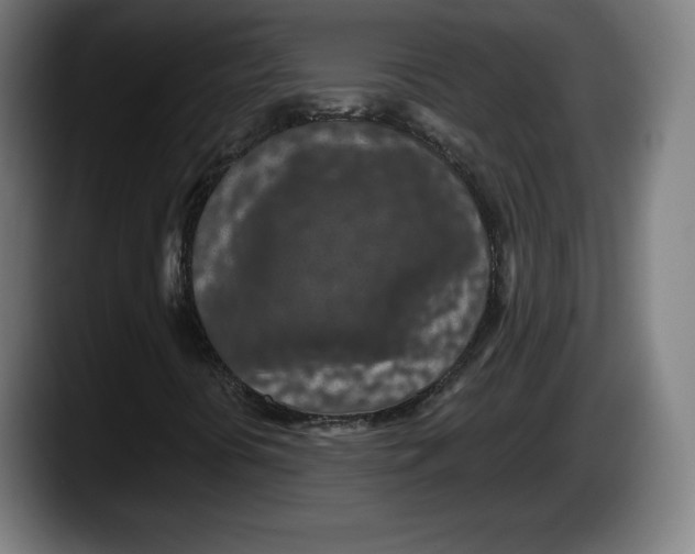 X0000087581394200705251831