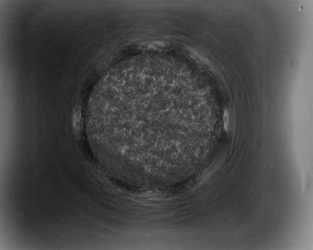 X0000087581395200705251831