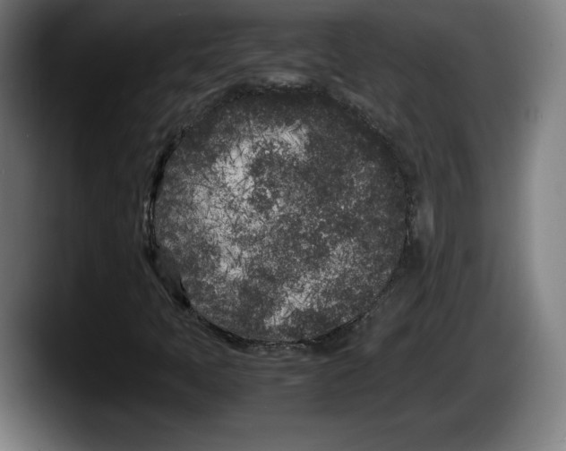 X0000087581397200705251831