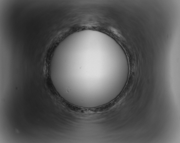 X0000087581398200705251831