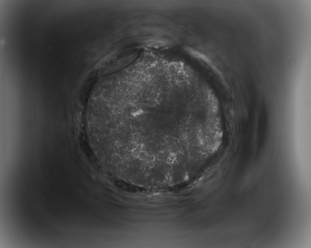 X0000087581399200705251831