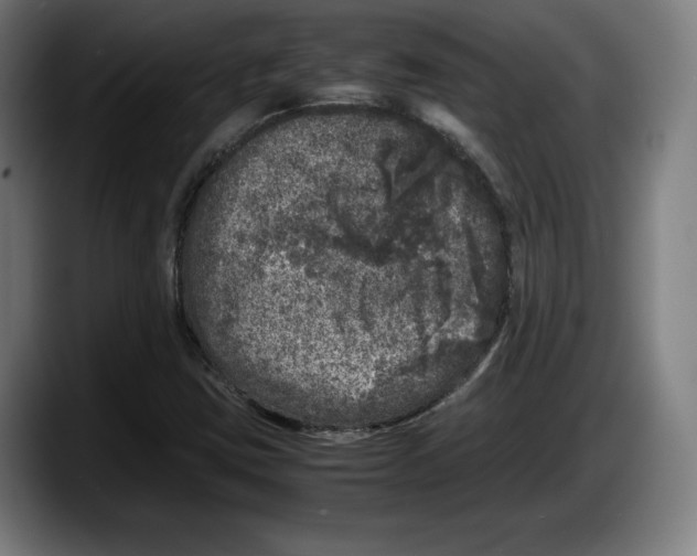 X0000087581403200705251832