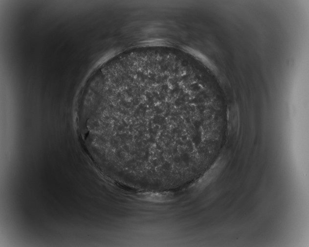 X0000087581405200705251832