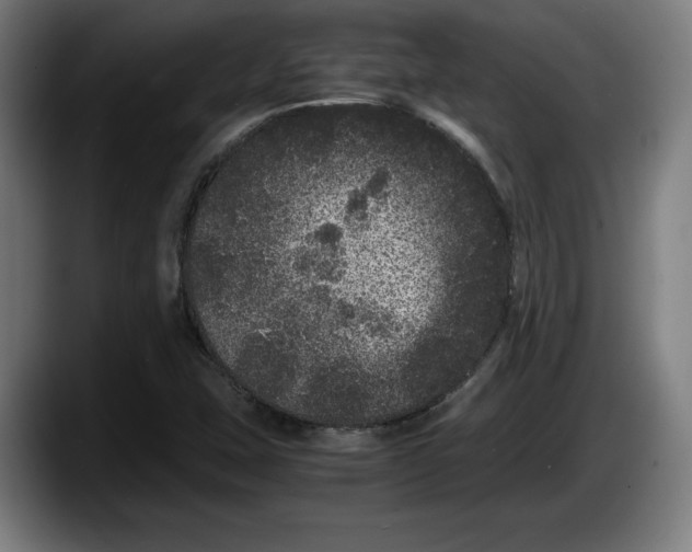 X0000087581407200705251832