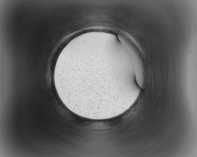 X0000087581408200705251832