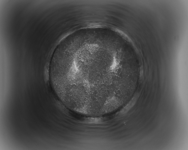 X0000087581409200705251832