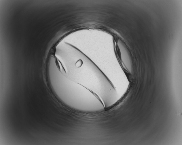 X0000087581410200705251832