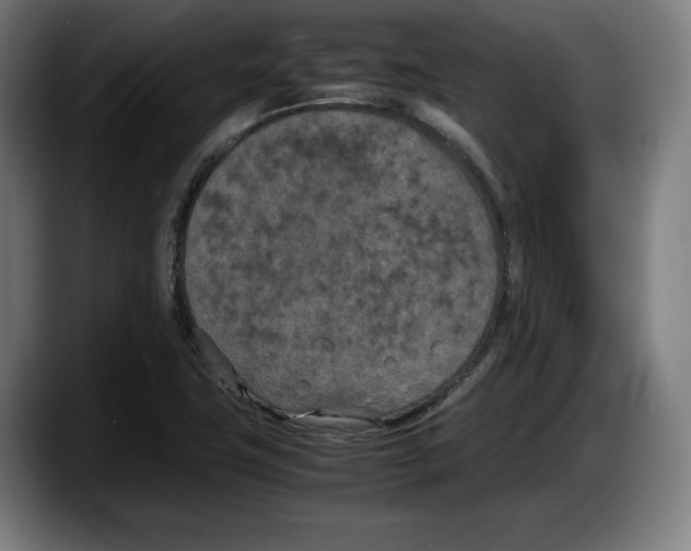 X0000087581411200705251832