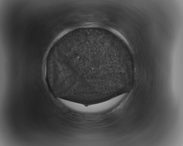 X0000087581413200705251832