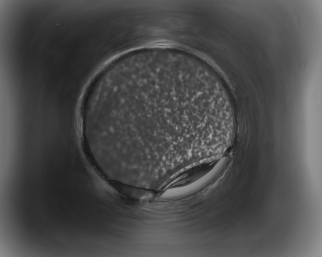 X0000087581414200705251832