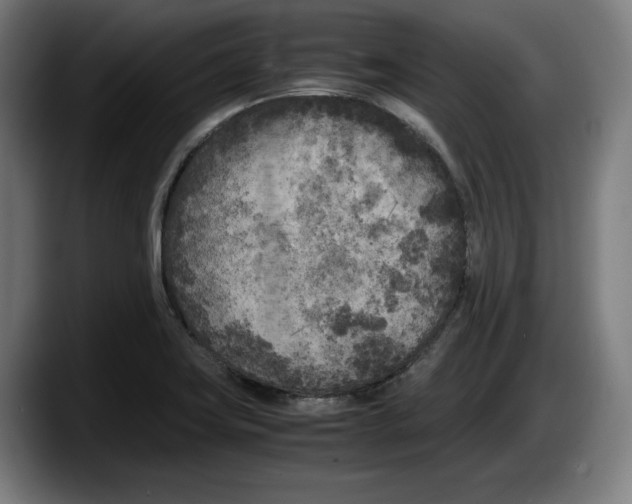 X0000087581419200705251832
