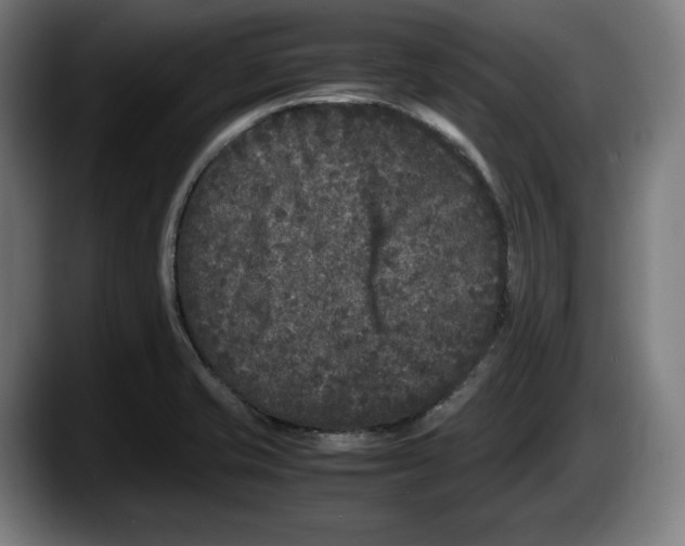 X0000087581421200705251832