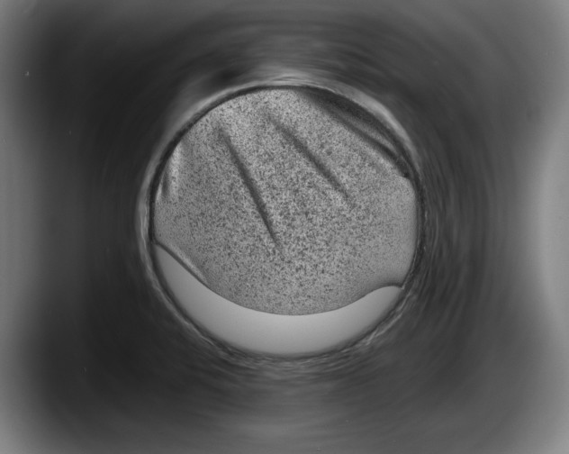 X0000087581424200705251832