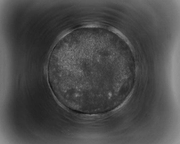X0000087581425200705251832