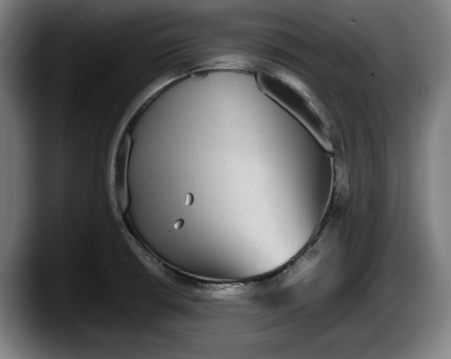 X0000087581426200705251832