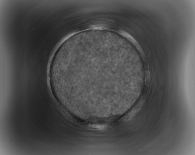X0000087581427200705251832