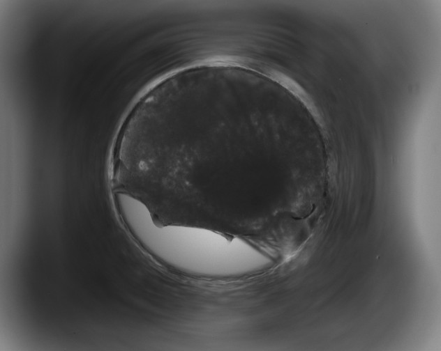 X0000087581428200705251832