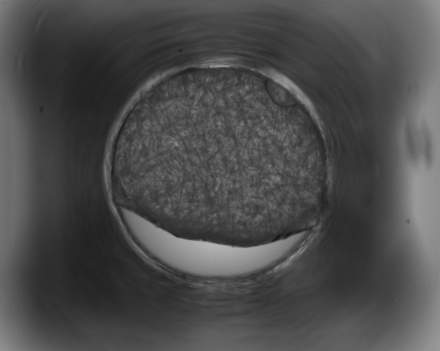 X0000087581429200705251832