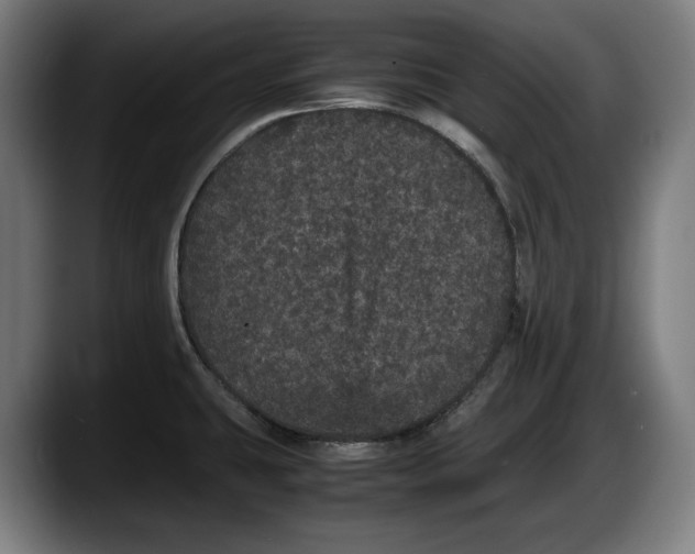 X0000087581431200705251832