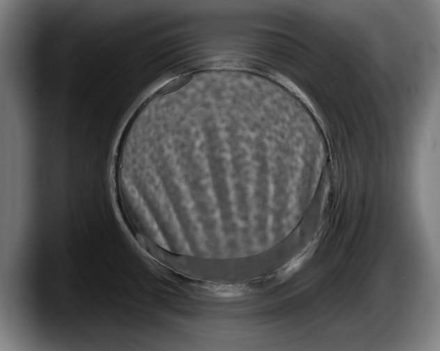 X0000087581434200705251832